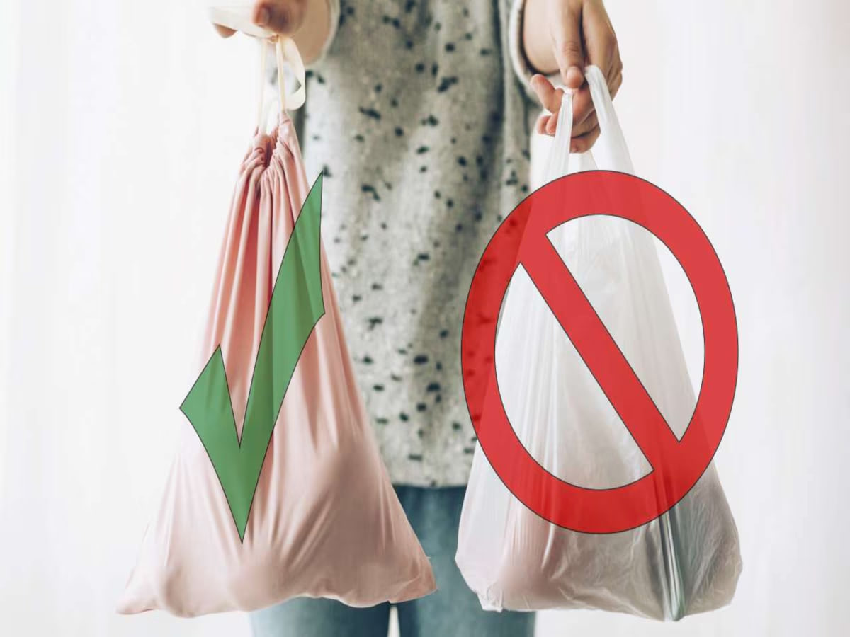 3-iyul — Xalqaro plastik paketlardan voz kechish kuni!